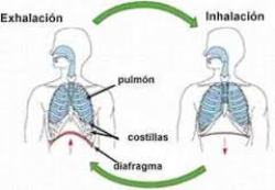 respiracion II