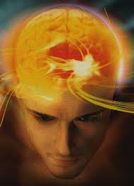 cerebro luz